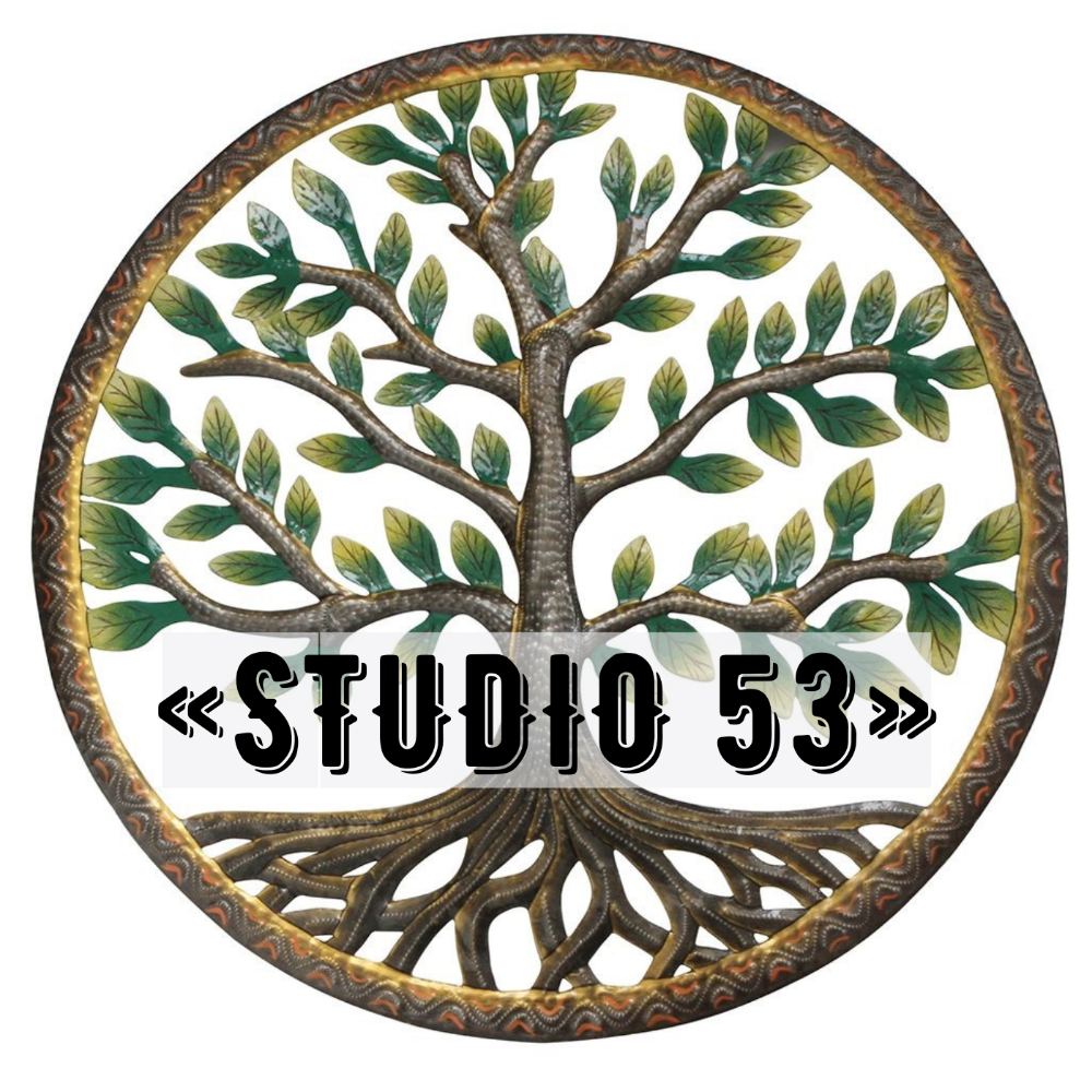 "STUDIO53"